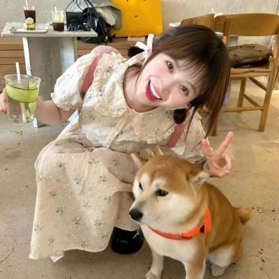 披着狼皮的羊